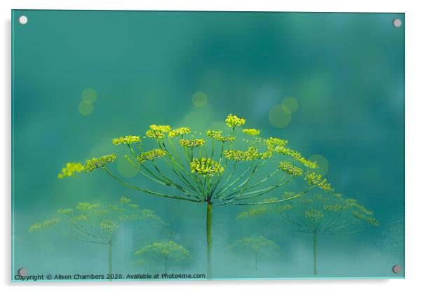 Wild Fennel Acrylic by Alison Chambers