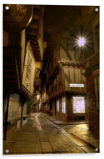 The Shambles York Acrylic by Alison Chambers