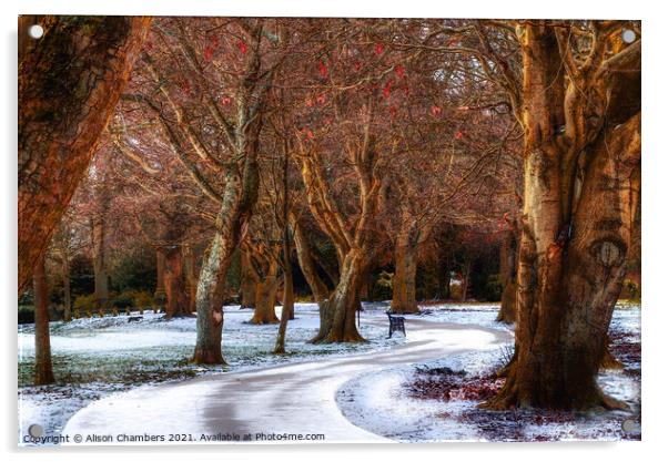 Snow Covered Path At Locke Park Acrylic by Alison Chambers