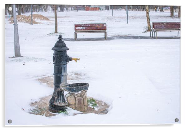 water fountain in the park with snow in winter Acrylic by David Galindo