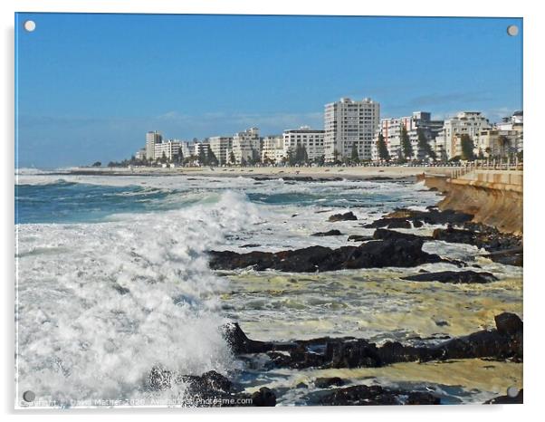 Cape Town waterfront Acrylic by David Mather