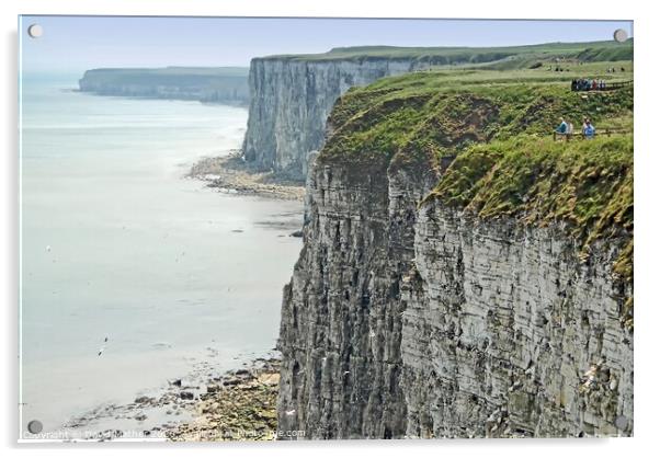 Bempton Cliffs Acrylic by David Mather