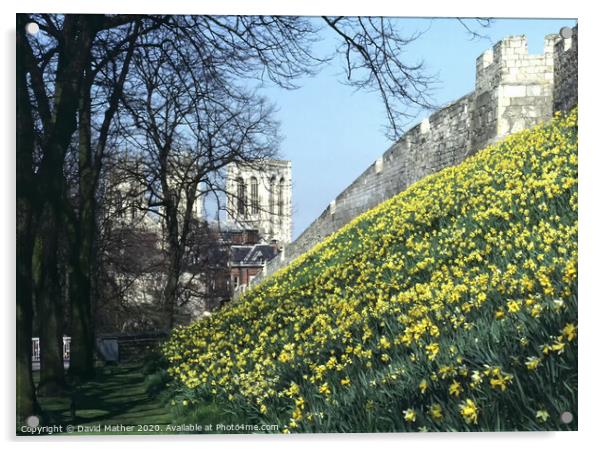 York Minster and City Wall Acrylic by David Mather