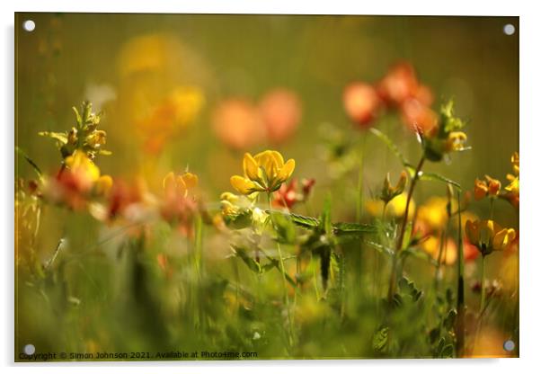 Cotswold Meadow Flowers Acrylic by Simon Johnson