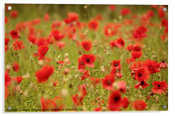 Cotswold Poppies Acrylic by Simon Johnson