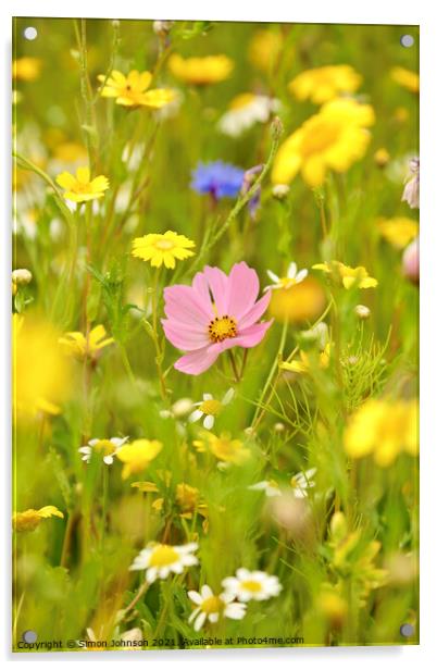 summer meadow flowers Acrylic by Simon Johnson