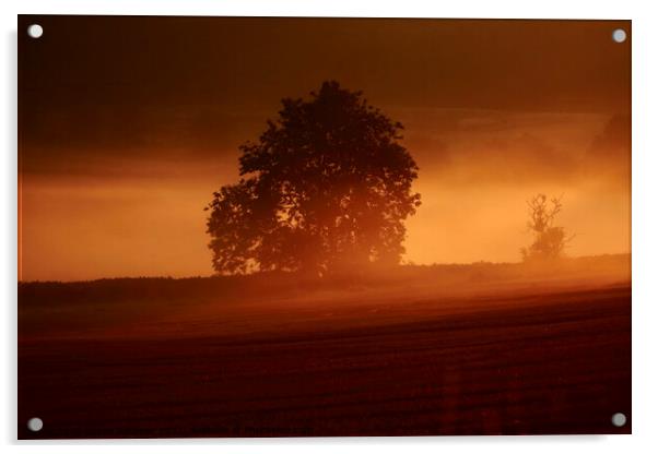 Misty sunrise  Acrylic by Simon Johnson