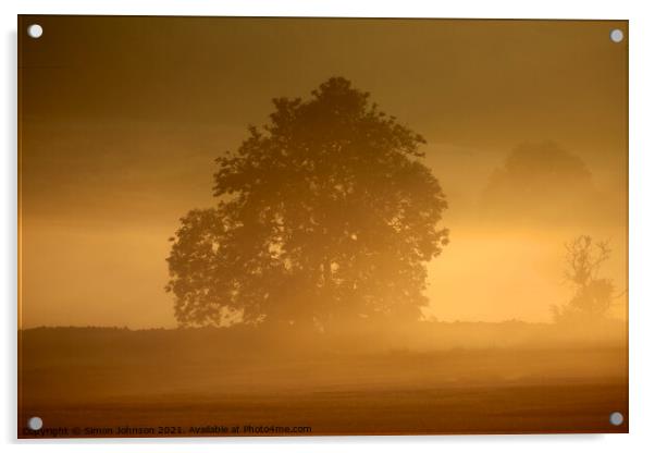 Morning Mist  Acrylic by Simon Johnson