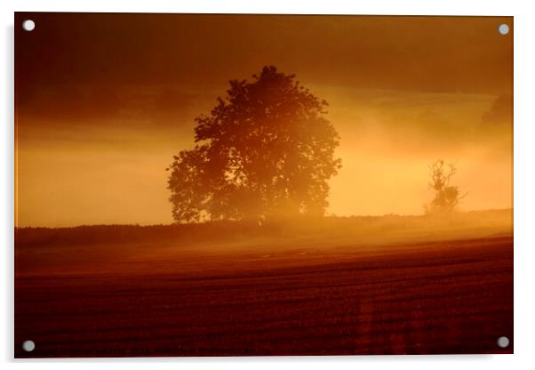 misty sunrise Acrylic by Simon Johnson