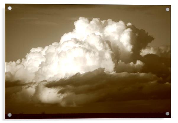 sunlit cumulous cloud Acrylic by Simon Johnson