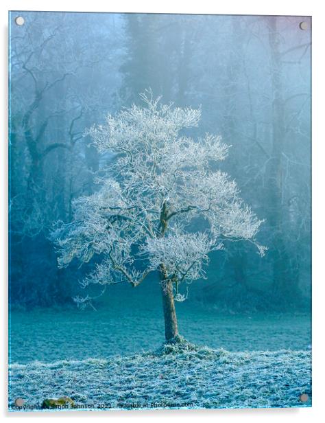 sunlit frosted tree Acrylic by Simon Johnson