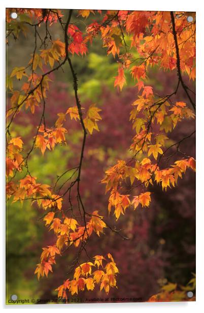 Autumn leaves Acrylic by Simon Johnson
