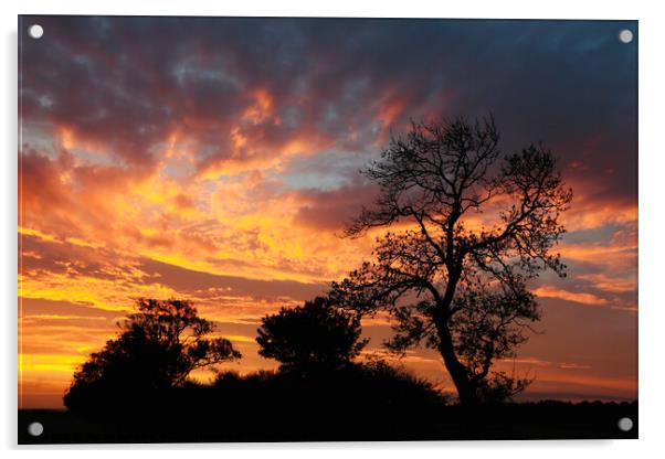 Cotswold Sunrise  Acrylic by Simon Johnson