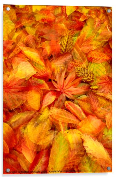 Autunmn leaf Collage Acrylic by Simon Johnson
