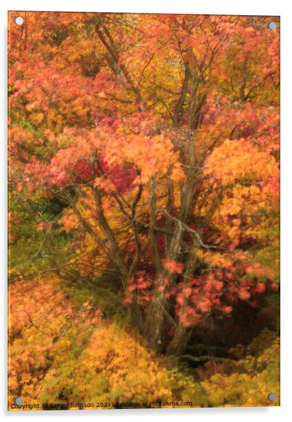 Autumn colour Acrylic by Simon Johnson
