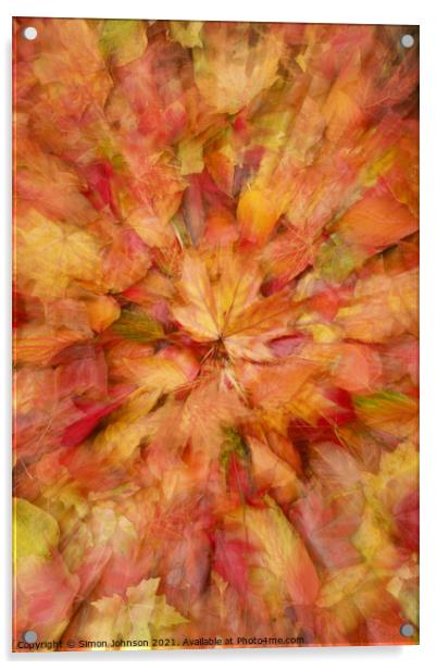  autumn leaf collage Acrylic by Simon Johnson