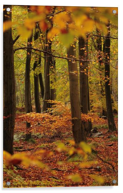 Autumn Woodland Acrylic by Simon Johnson