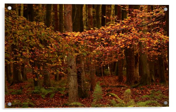 Autumn leaves  Acrylic by Simon Johnson