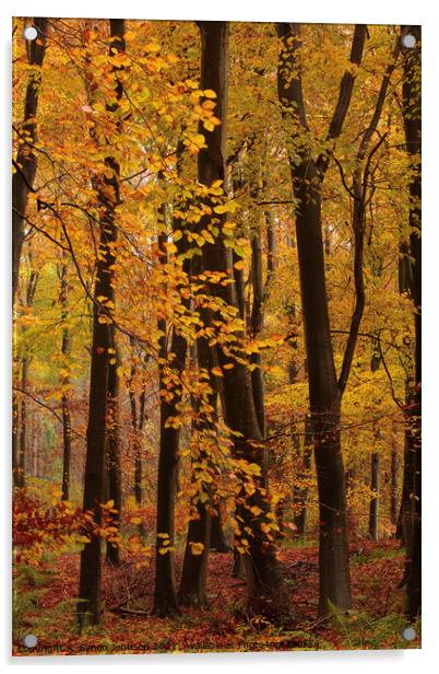 Autumn Woodland  colours  Acrylic by Simon Johnson