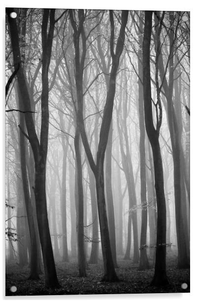 The Y trees Acrylic by Simon Johnson