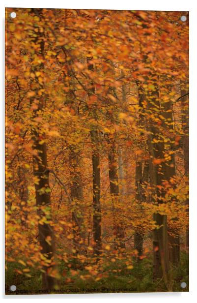 Autumn Colour Acrylic by Simon Johnson