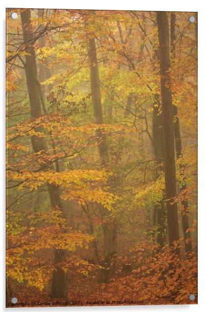 Misty Beech woodland Acrylic by Simon Johnson