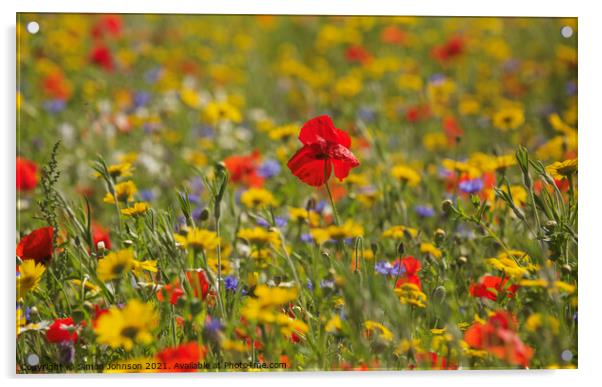 Wild flower meadow Acrylic by Simon Johnson