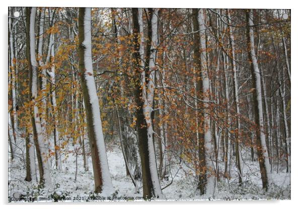 winter woodland Acrylic by Simon Johnson