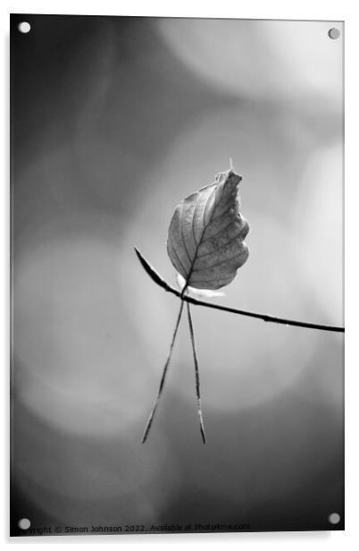 leaf in monochrome  Acrylic by Simon Johnson