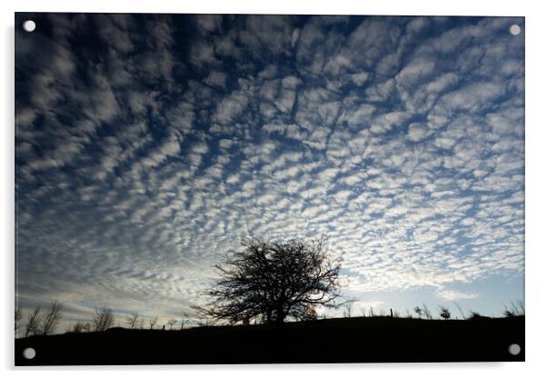 Sky cloud Acrylic by Simon Johnson