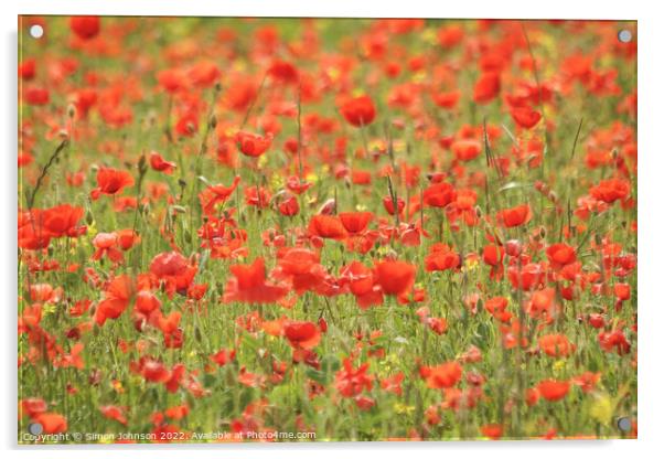 poppy field Acrylic by Simon Johnson