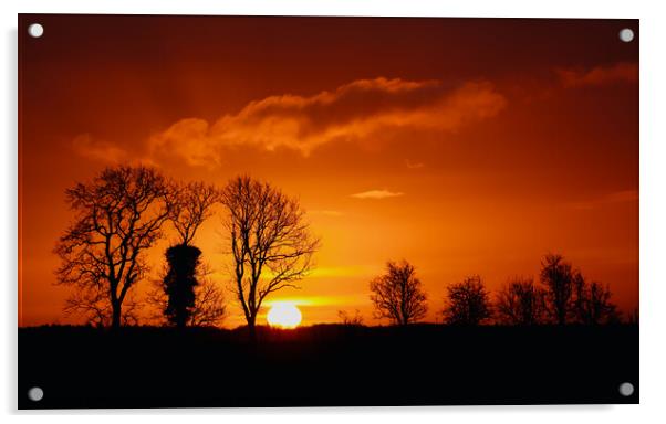 February sunrise Acrylic by Simon Johnson