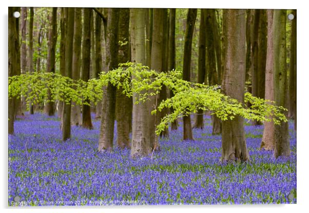 leaves and bluebells Acrylic by Simon Johnson