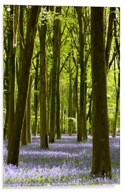 Bluebell Woodland  Acrylic by Simon Johnson