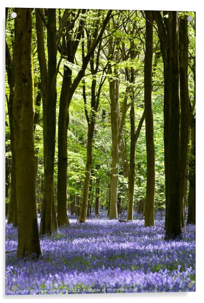 bluebells Acrylic by Simon Johnson