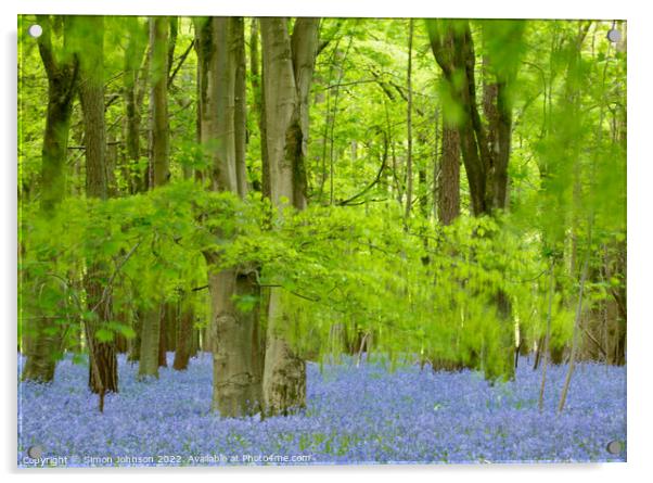 Bluebells Acrylic by Simon Johnson