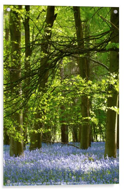 sunlit Bluebells Acrylic by Simon Johnson