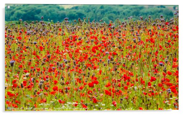 Cotswold meadow  field Acrylic by Simon Johnson