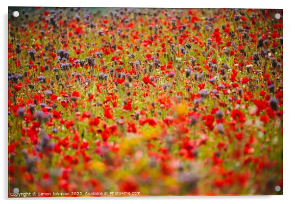 Cotswold meadow flowers Acrylic by Simon Johnson