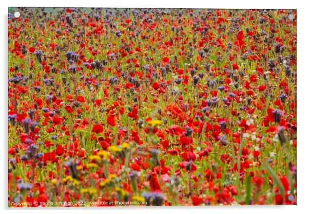 Poppy field with meadow flowers Acrylic by Simon Johnson