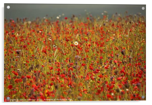 Outdoor field Acrylic by Simon Johnson