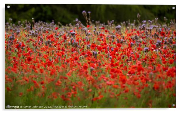 Cotswold Poppy Field Acrylic by Simon Johnson