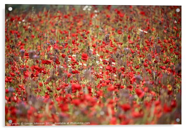 Poppies galore Acrylic by Simon Johnson