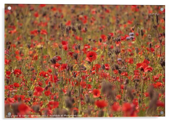 Poppy field Acrylic by Simon Johnson