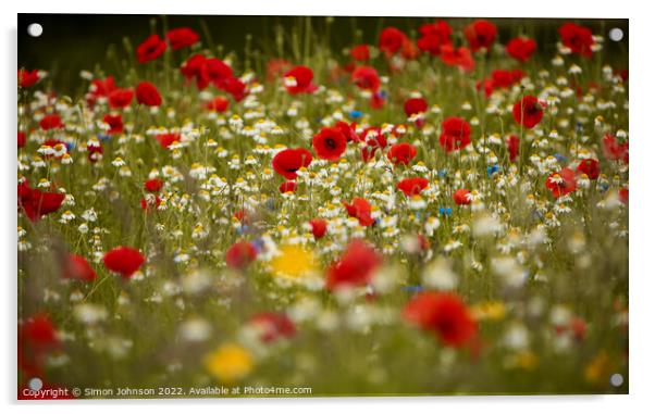 meadow flowers Acrylic by Simon Johnson