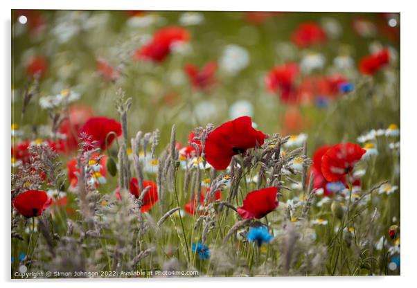 Poppy  flowers Acrylic by Simon Johnson