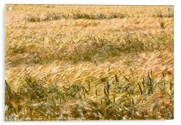 Corn field Acrylic by Simon Johnson