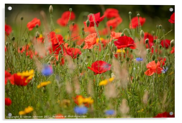 poppy and meadow flowersr  Acrylic by Simon Johnson