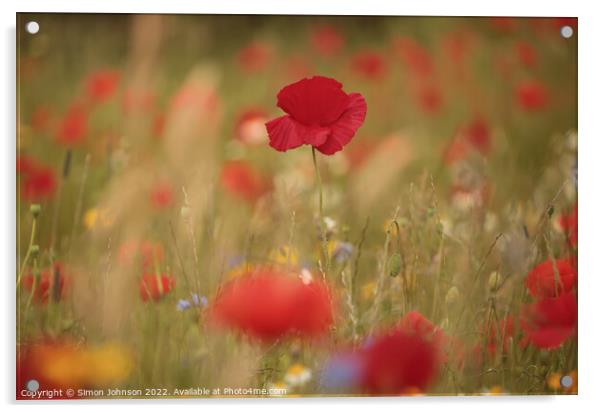 Poppies  Acrylic by Simon Johnson