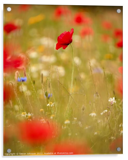  Creative image of Poppy Acrylic by Simon Johnson